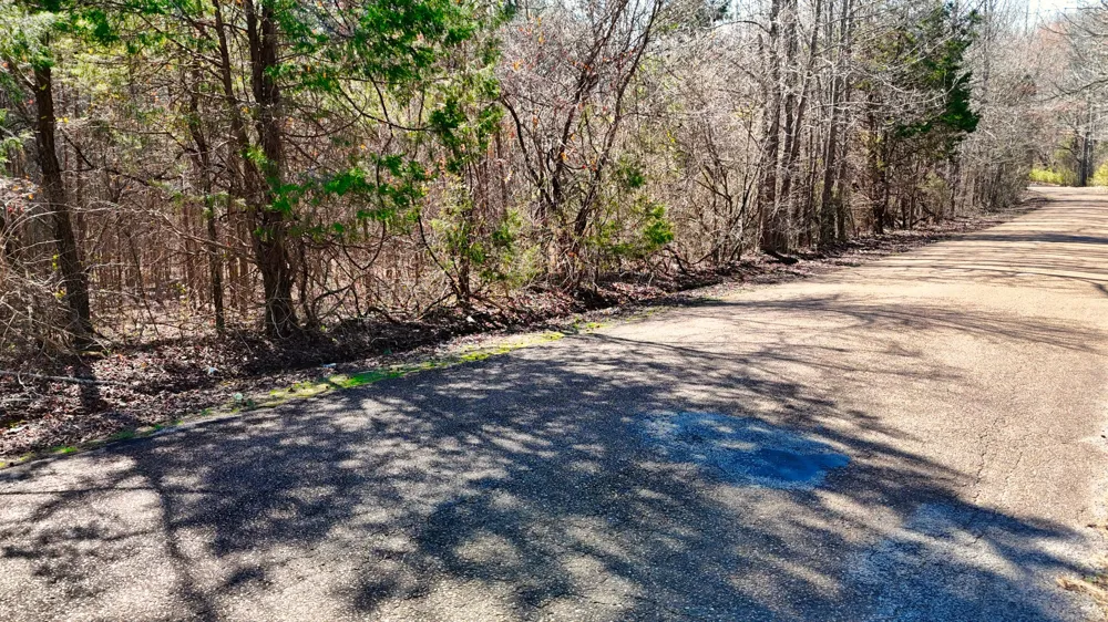 0 Bishop Rd Middleton, TN 38052