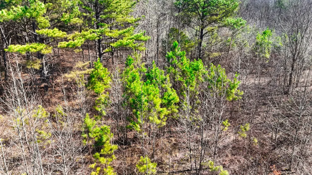0 Bishop Rd Middleton, TN 38052