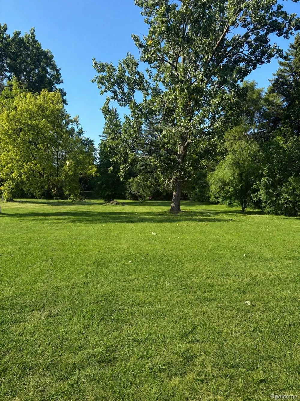 3441 E Maple Avenue Burton City, MI 48529