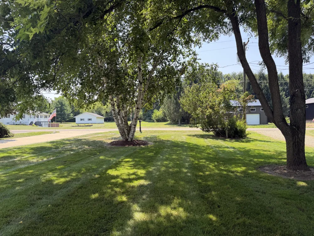 4240 Dawn Drive Adams Township, MI 49242