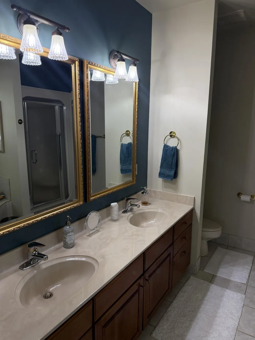 4240 Dawn Drive Adams Township, MI 49242