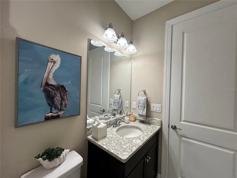 6085 HIDDEN BRANCH DRIVE Apollo Beach, FL 33572