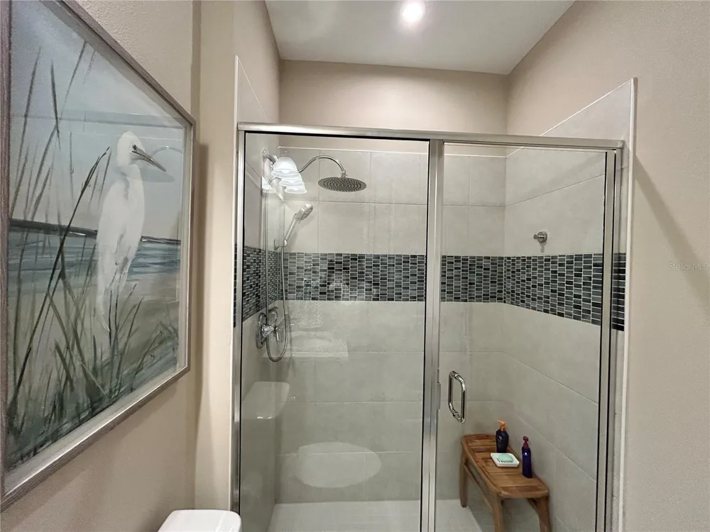 6085 HIDDEN BRANCH DRIVE Apollo Beach, FL 33572
