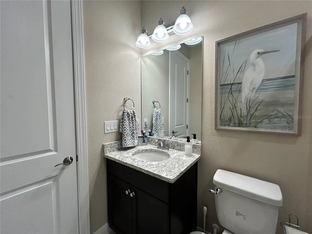 6085 HIDDEN BRANCH DRIVE Apollo Beach, FL 33572