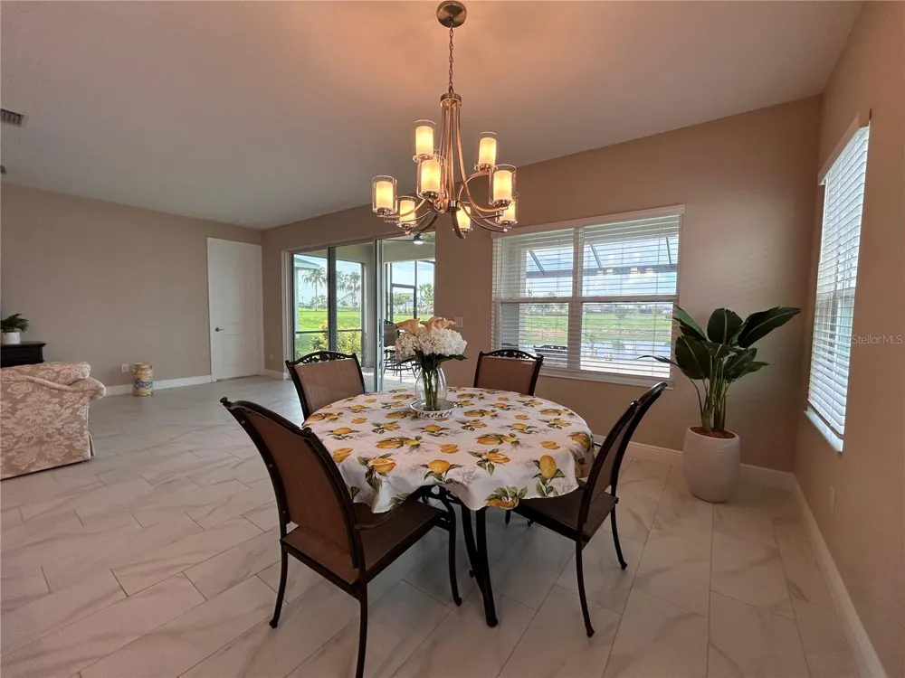 6085 HIDDEN BRANCH DRIVE Apollo Beach, FL 33572