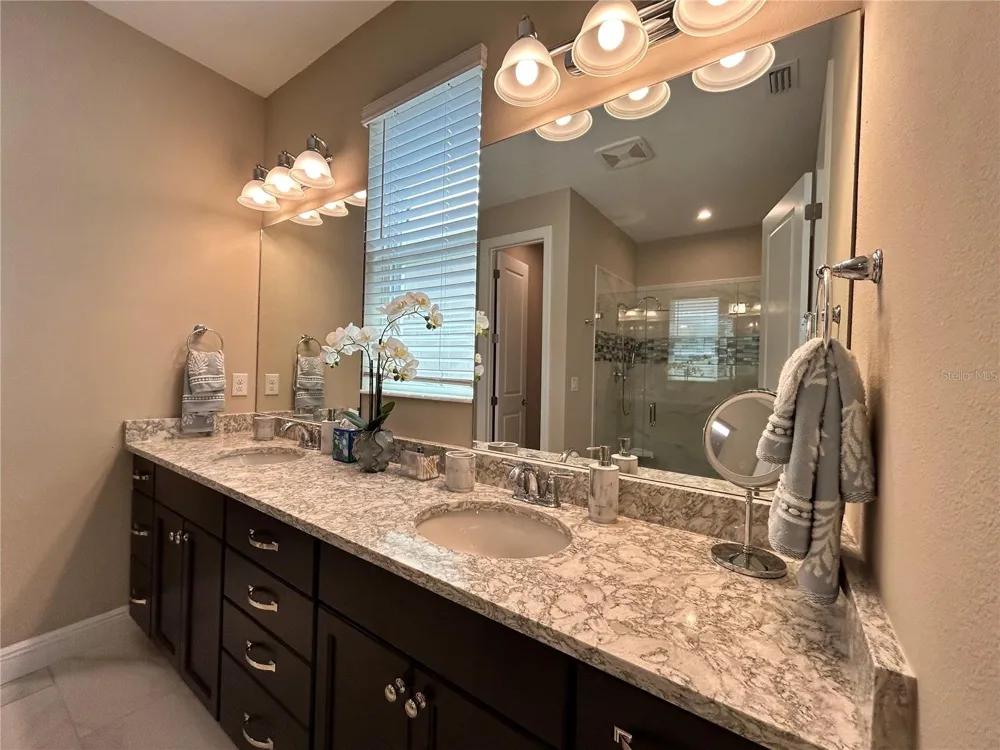 6085 HIDDEN BRANCH DRIVE Apollo Beach, FL 33572