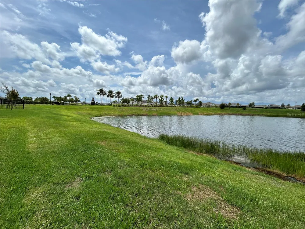 6085 HIDDEN BRANCH DRIVE Apollo Beach, FL 33572