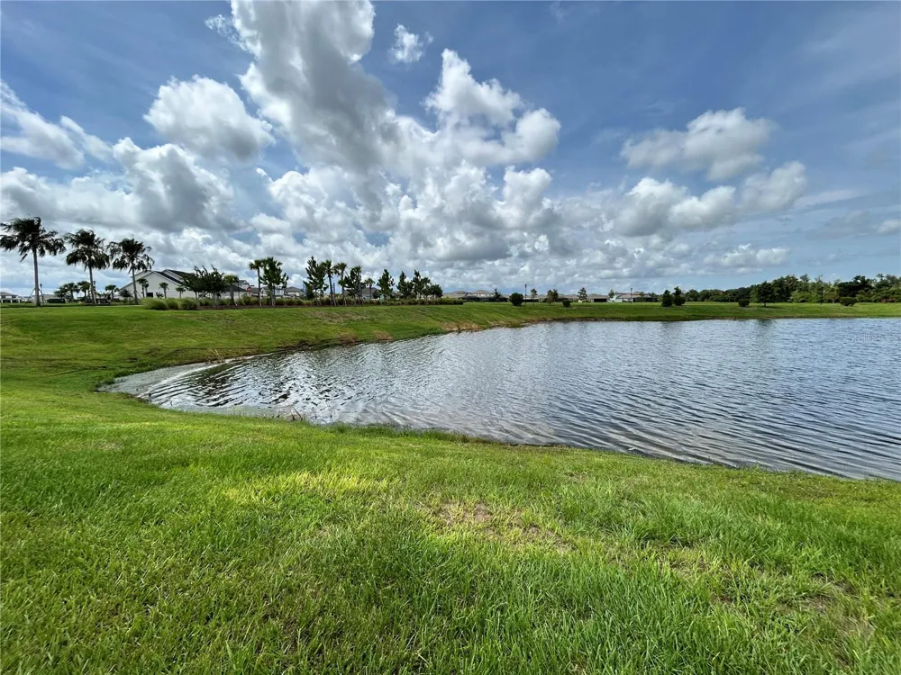 6085 HIDDEN BRANCH DRIVE Apollo Beach, FL 33572
