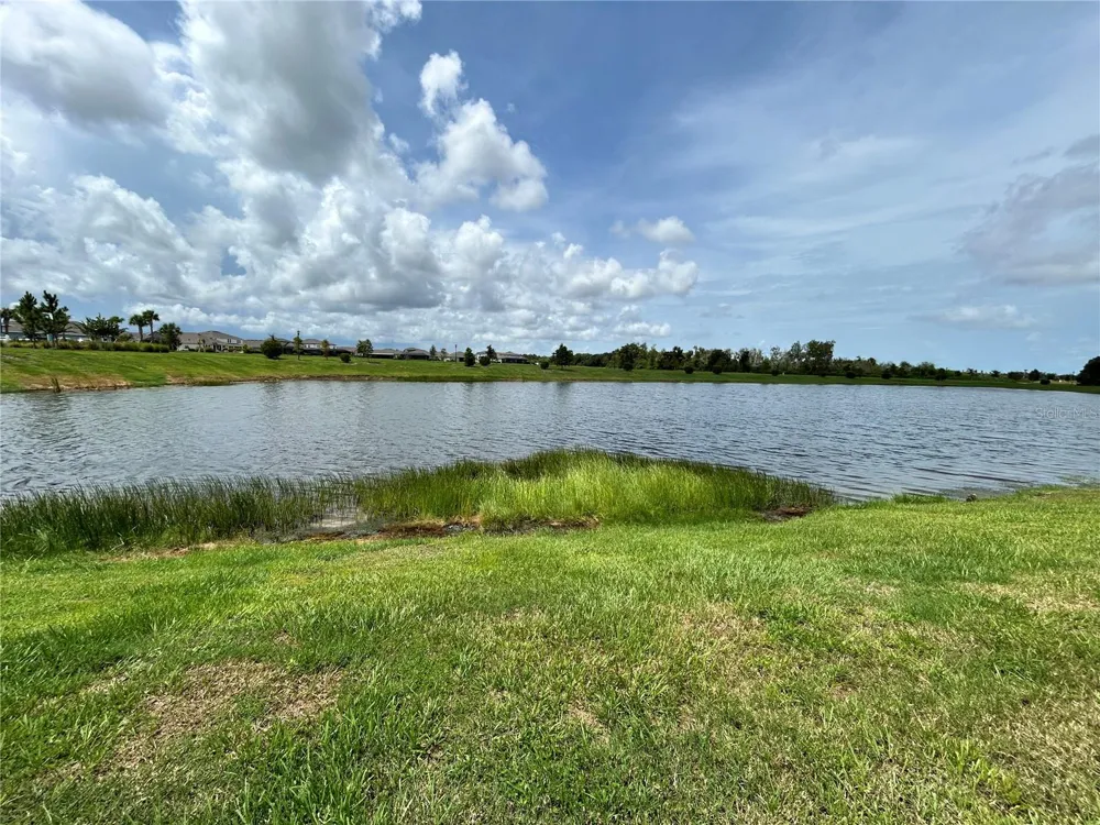 6085 HIDDEN BRANCH DRIVE Apollo Beach, FL 33572