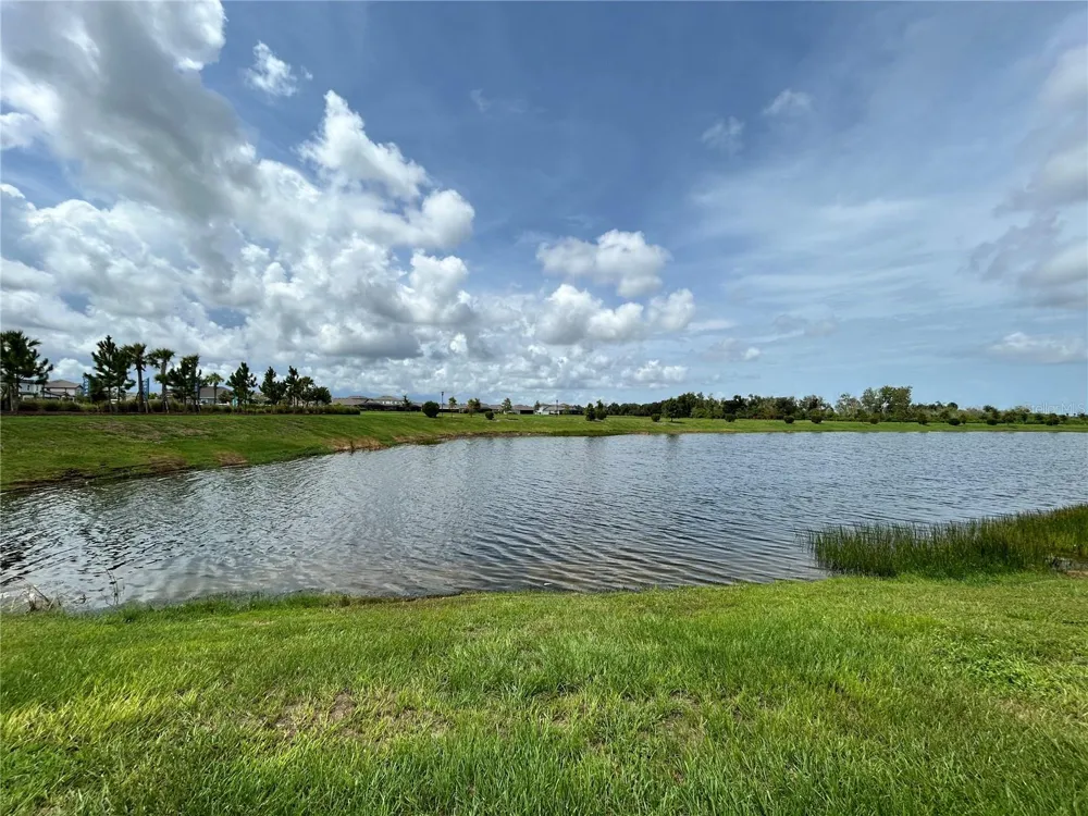 6085 HIDDEN BRANCH DRIVE Apollo Beach, FL 33572