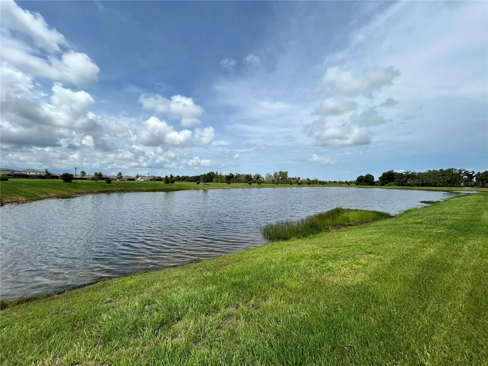 6085 HIDDEN BRANCH DRIVE Apollo Beach, FL 33572