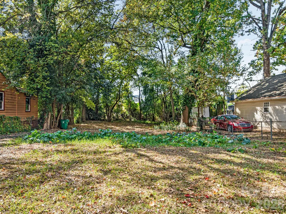 221 Plymouth Avenue Charlotte, NC 28206
