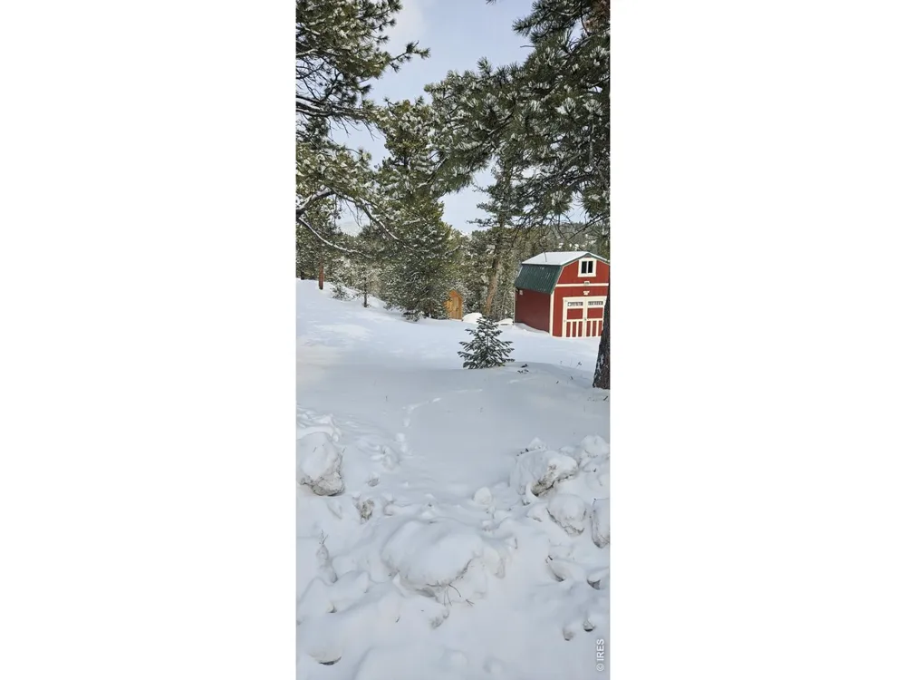 78 Kikima Court Red Feather Lakes, CO 80545