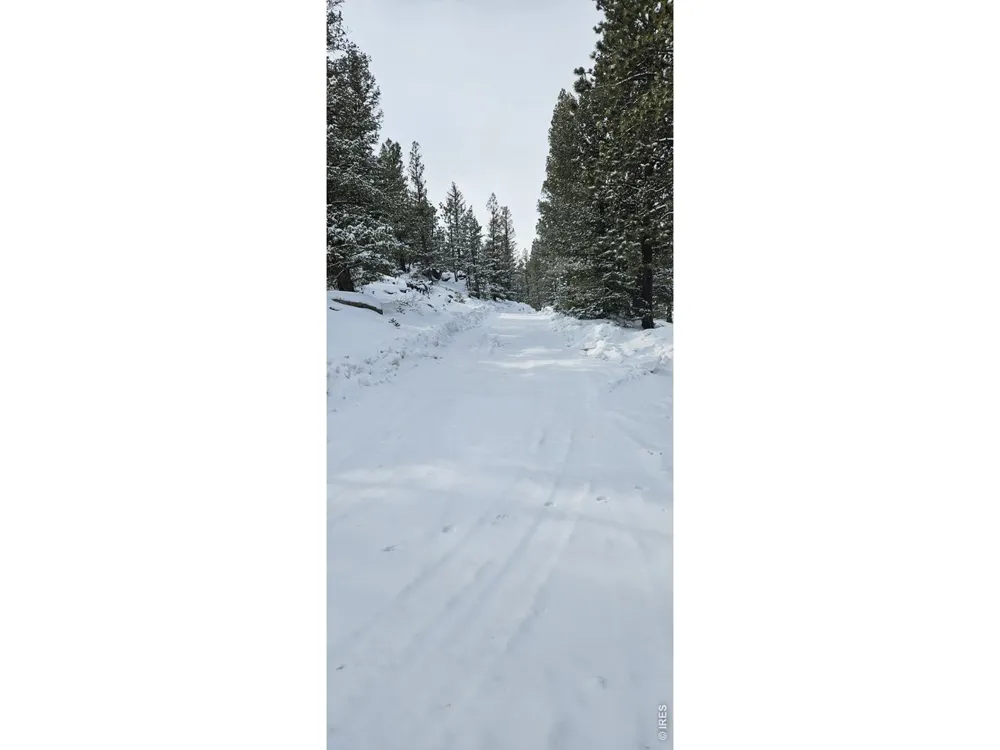 78 Kikima Court Red Feather Lakes, CO 80545