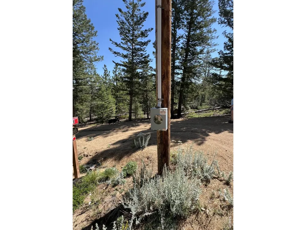 78 Kikima Court Red Feather Lakes, CO 80545
