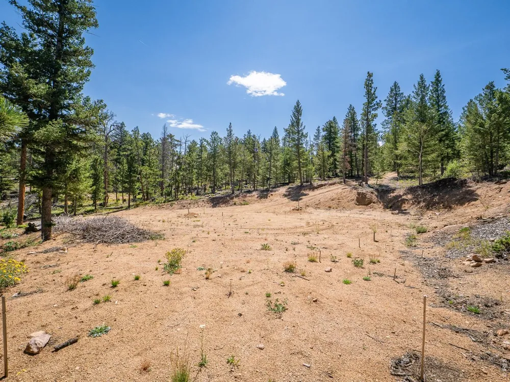 78 Kikima Court Red Feather Lakes, CO 80545