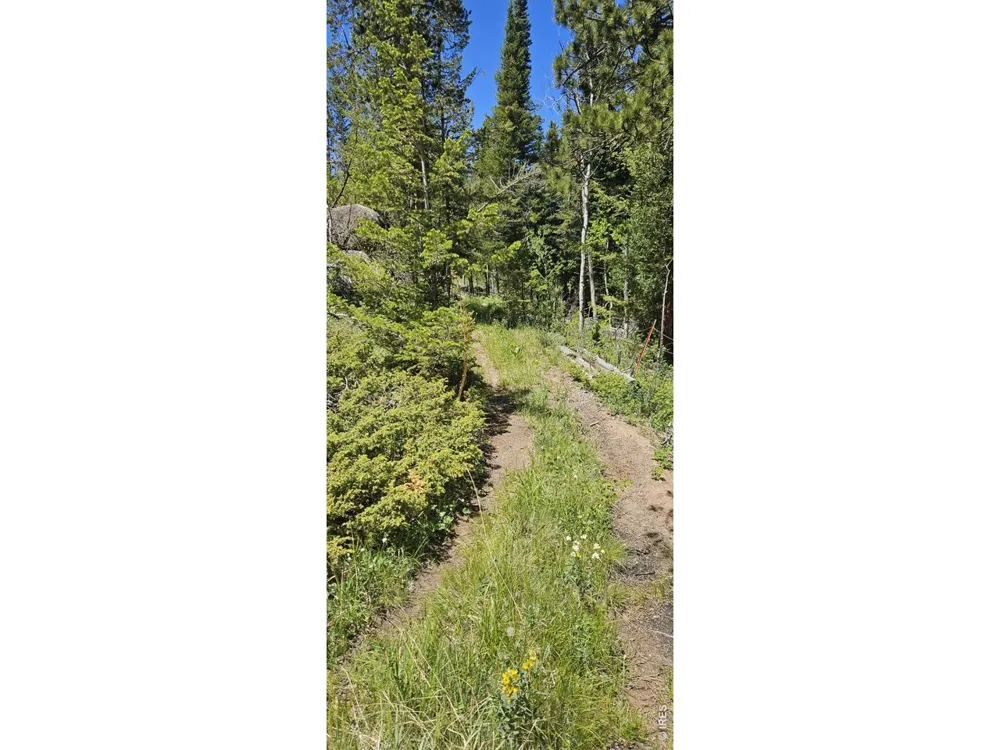 78 Kikima Court Red Feather Lakes, CO 80545