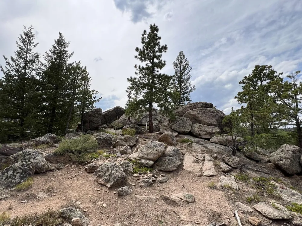 78 Kikima Court Red Feather Lakes, CO 80545