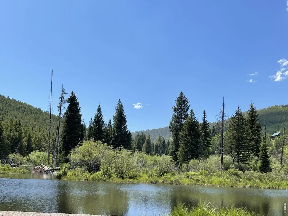 78 Kikima Court Red Feather Lakes, CO 80545