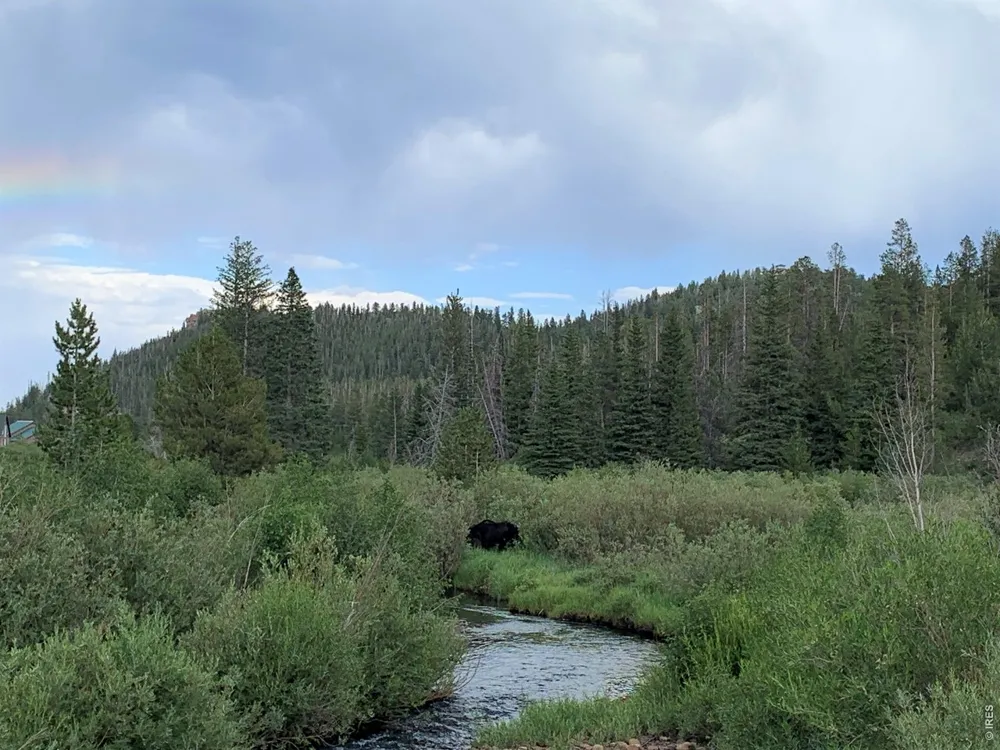 78 Kikima Court Red Feather Lakes, CO 80545