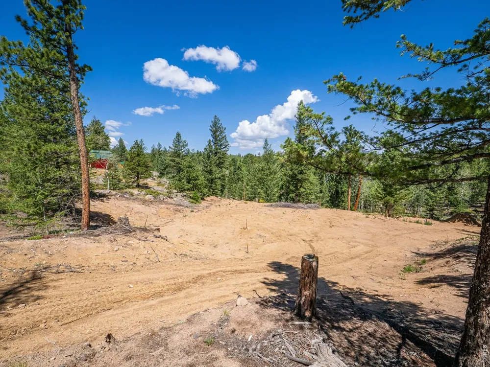 78 Kikima Court Red Feather Lakes, CO 80545