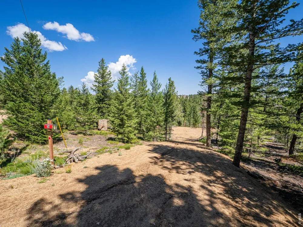 78 Kikima Court Red Feather Lakes, CO 80545