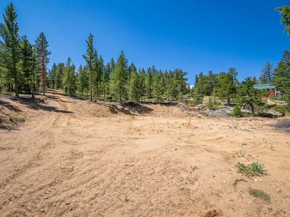 78 Kikima Court Red Feather Lakes, CO 80545