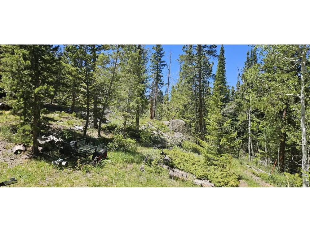 78 Kikima Court Red Feather Lakes, CO 80545