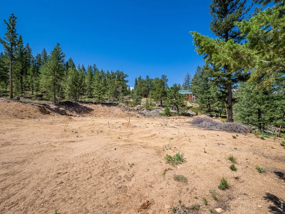 78 Kikima Court Red Feather Lakes, CO 80545