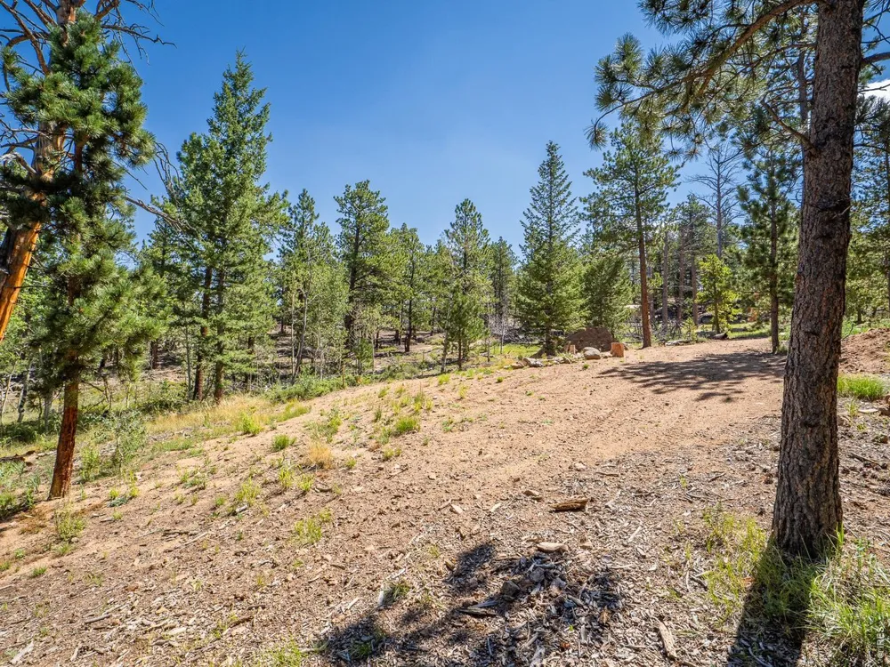 78 Kikima Court Red Feather Lakes, CO 80545