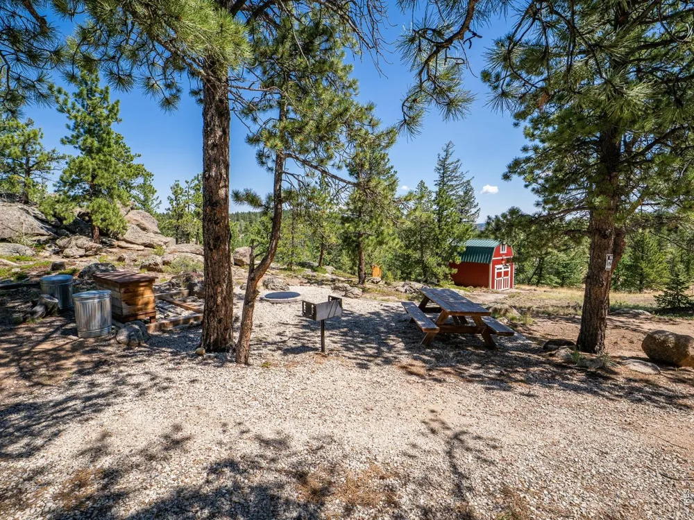 78 Kikima Court Red Feather Lakes, CO 80545