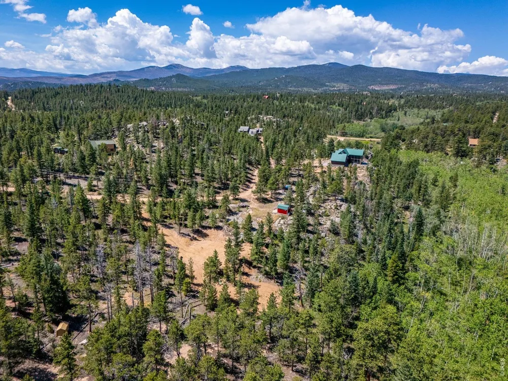 78 Kikima Court Red Feather Lakes, CO 80545