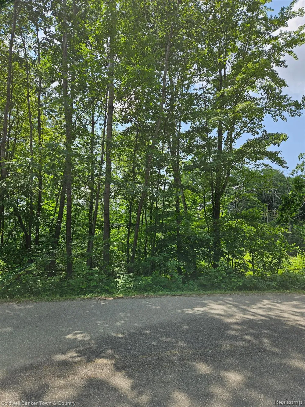 Lakeside Plainfield Township, MI 47839