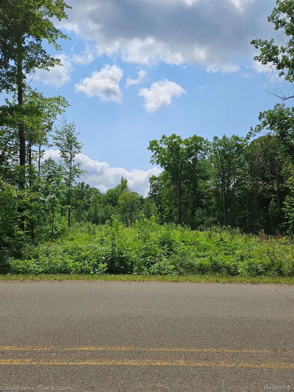 Lakeside Plainfield Township, MI 47839
