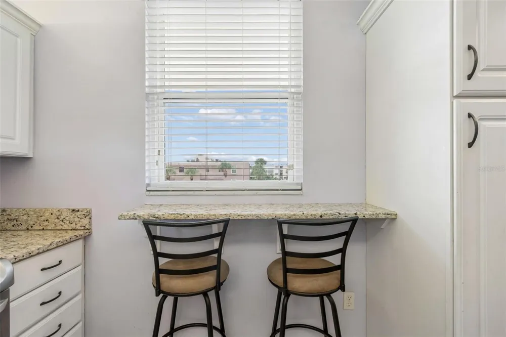 7465 BAY ISLAND DRIVE S #313 South Pasadena, FL 33707