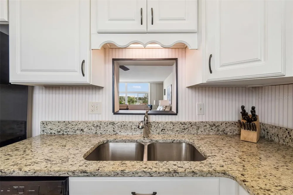 7465 BAY ISLAND DRIVE S #313 South Pasadena, FL 33707