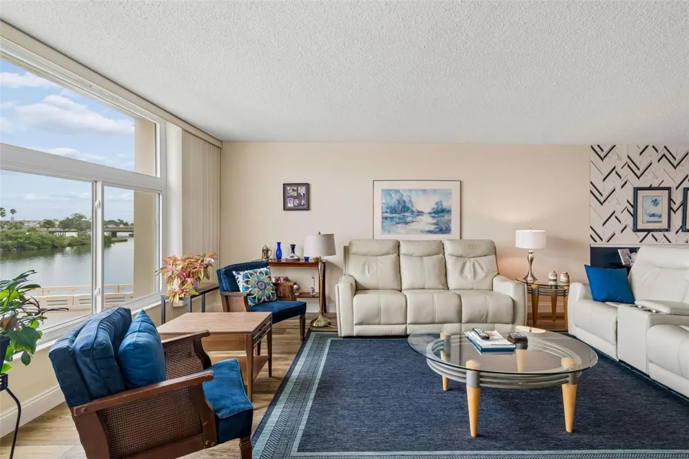 7465 BAY ISLAND DRIVE S #313 South Pasadena, FL 33707