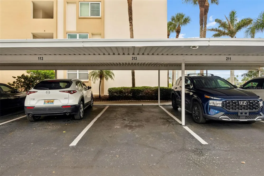 7465 BAY ISLAND DRIVE S #313 South Pasadena, FL 33707