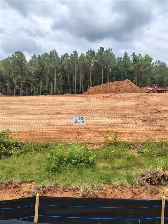 1028 Queens Bridge Way Griffin, GA 30223