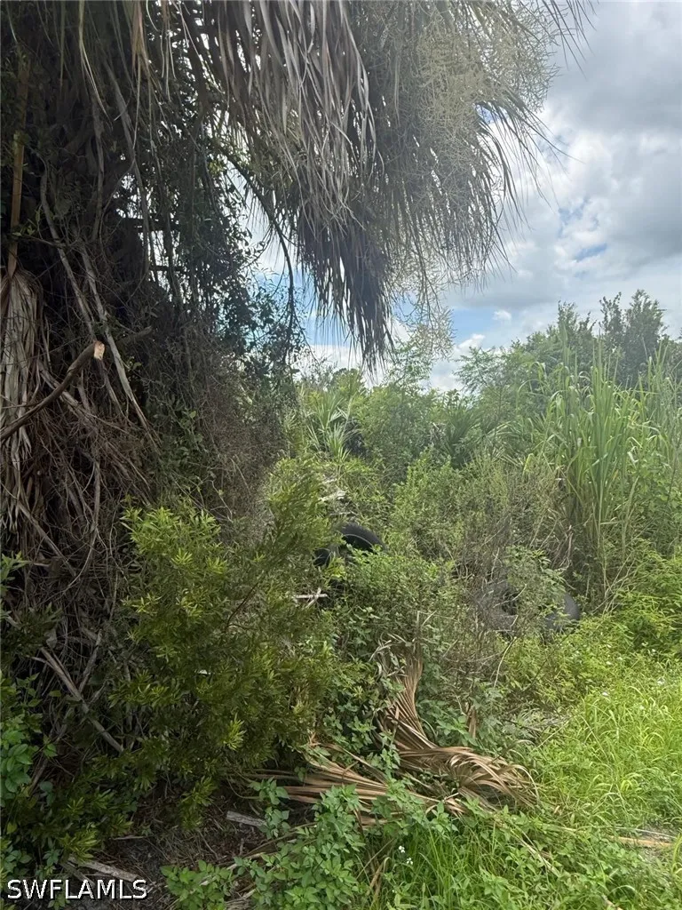 63rd Street W Lehigh Acres, FL 33971