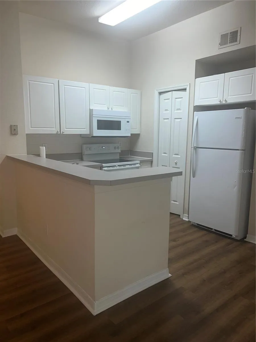 18107 PEREGRINES PERCH PLACE #6310 Lutz, FL 33558