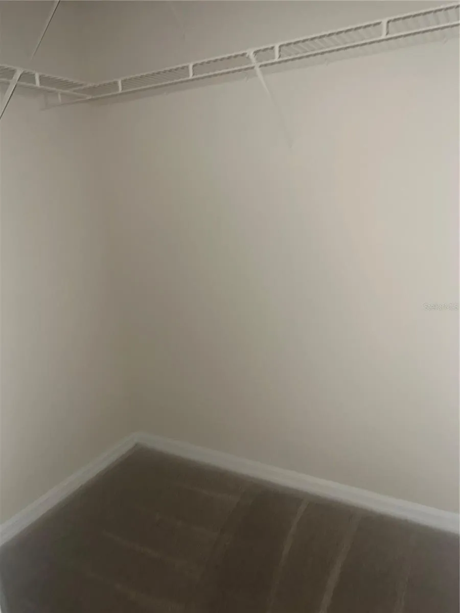 18107 PEREGRINES PERCH PLACE #6310 Lutz, FL 33558