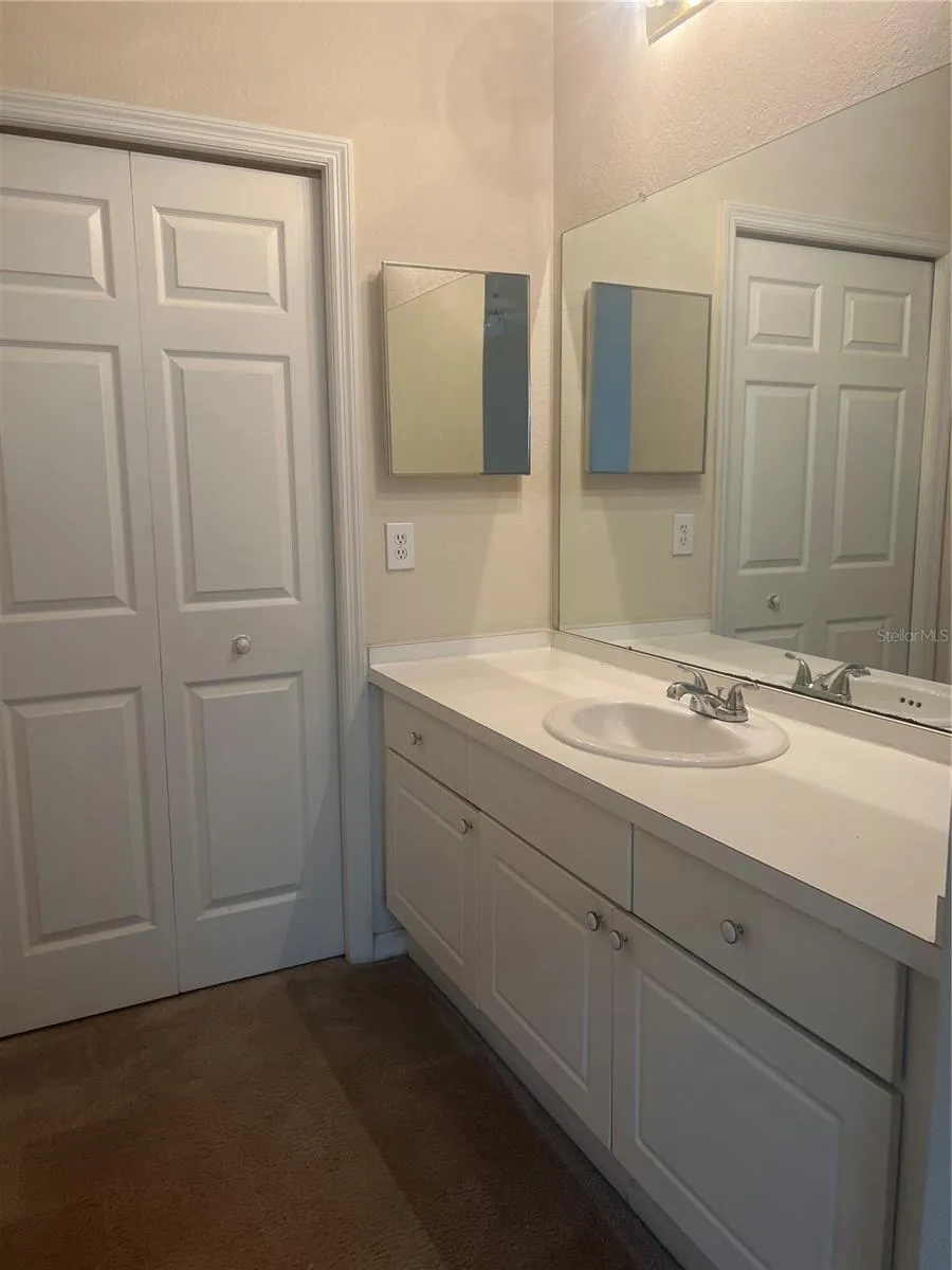 18107 PEREGRINES PERCH PLACE #6310 Lutz, FL 33558