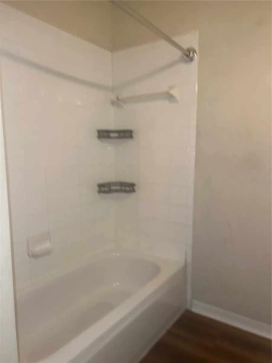 18107 PEREGRINES PERCH PLACE #6310 Lutz, FL 33558