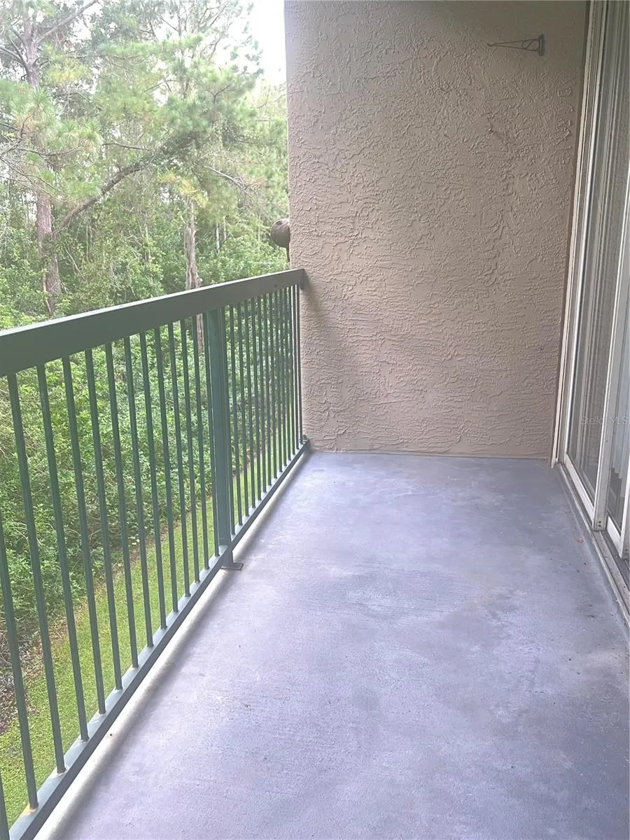 18107 PEREGRINES PERCH PLACE #6310 Lutz, FL 33558