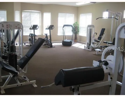 18107 PEREGRINES PERCH PLACE #6310 Lutz, FL 33558