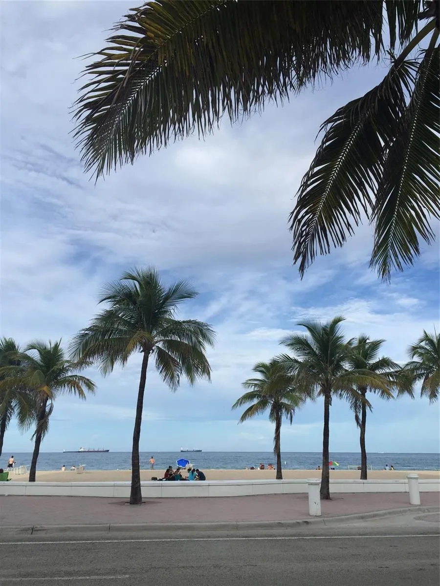 709 SE 15TH STREET #1 Fort Lauderdale, FL 33316