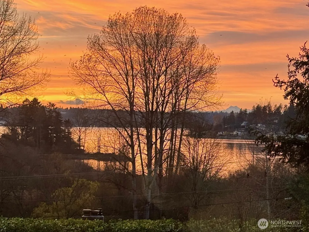10030 NE 110th Street Kirkland, WA 98033