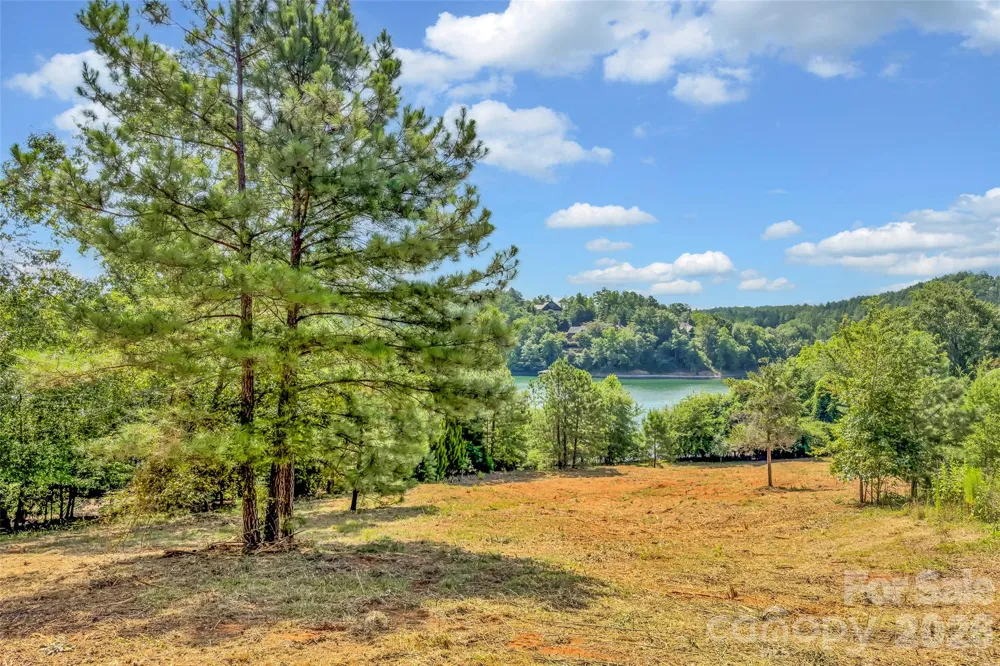 246 Long Ridge Road Sunset, SC 29685