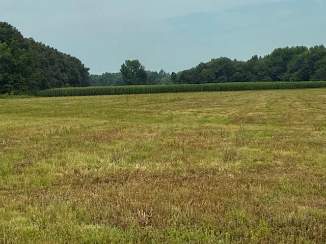 0 Rushing Road Ethridge, TN 38456